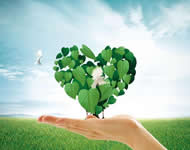 Social green wind will UV printing ink to the printing enterprise 